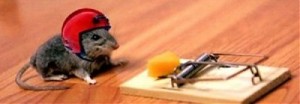 Maus mit Helm
