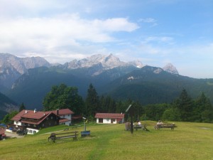 DSC_1481_verkleinert