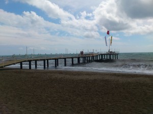 DSC_1677_verkleinert