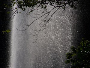 100_7419_verkleinert