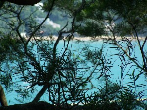 100_7427_verkleinert