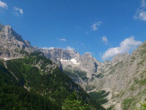 DSC_2682_verkleinert