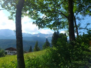 DSC_2703_verkleinert