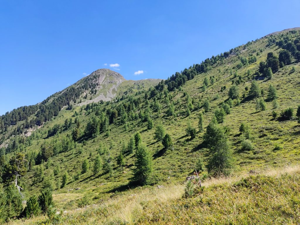 Blick vom Außerbergli zum Rauhen Kopf